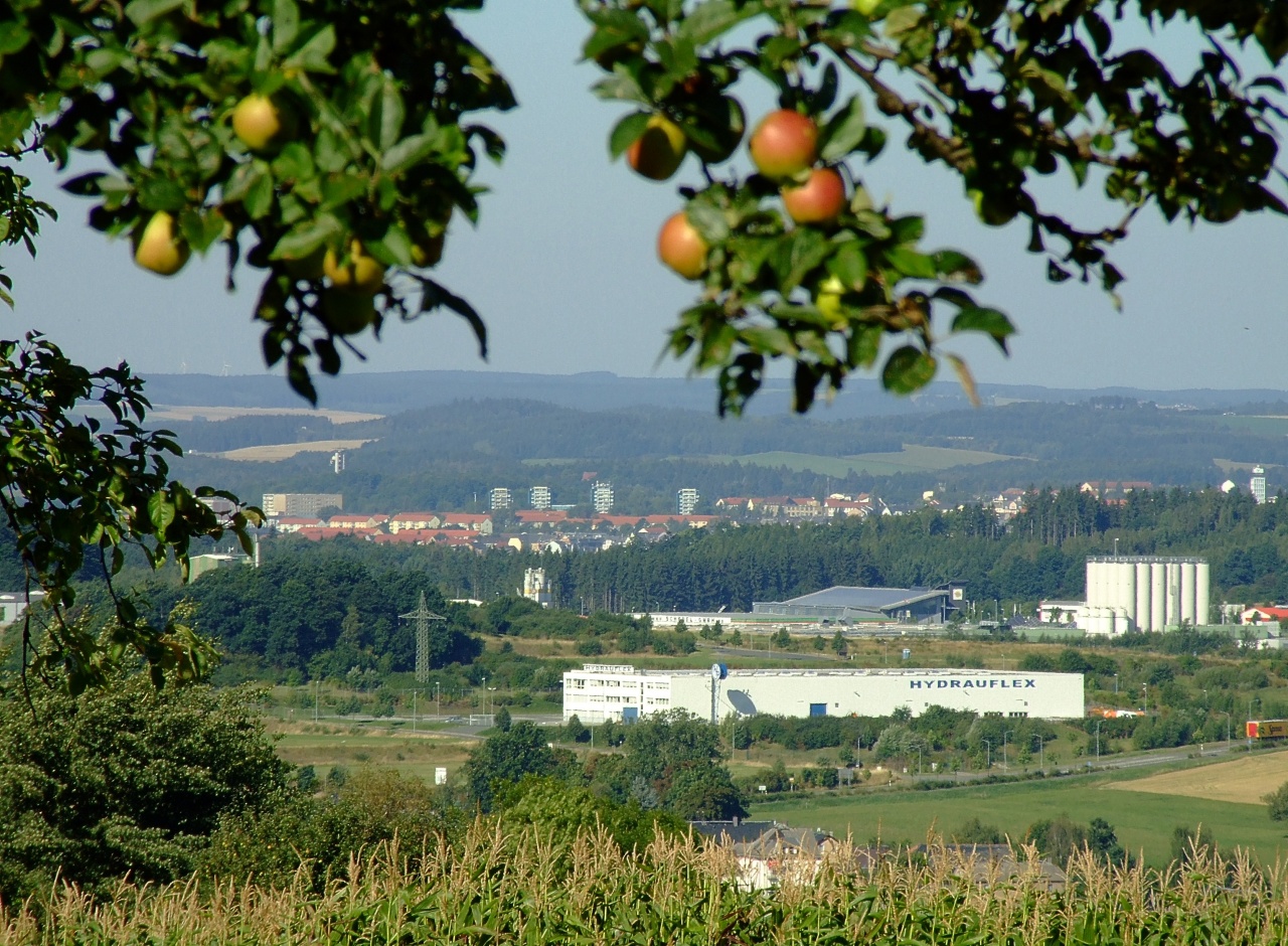 Neuensalzer Apfelbaeume3